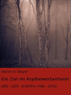 cover image of Ein Zivi im Asylbewerberheim